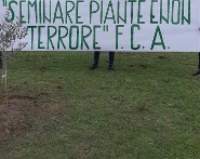 Albero piantato Fca