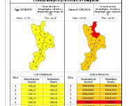 Allerta meteo cartina