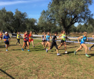 Atletica corsa campestre