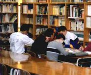 Biblioteca gener