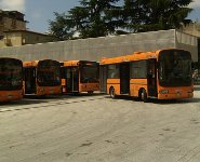 Bus Lamezia capolina Mazzini