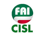 Cisl Fai Cisl