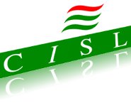 Cisl logo10