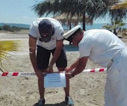 Curinga spiaggia seq