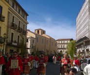 Domemica delle palme