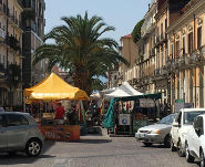 Fiera santonio corso nicotera palme