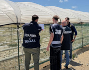 Finanza sequestro area cipolle