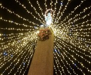 Immacolata Madonnina Lam