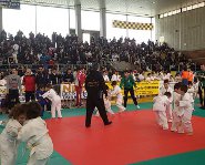 Judo torneo giovanissimi