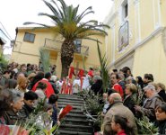 Lamezia domenica delle palme