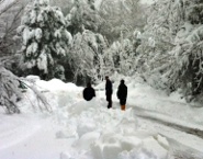 Neve_Cortale