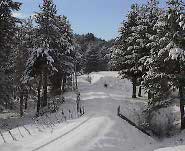 Neve_in_Sila_archivio
