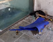 Parco Impastato degrado2