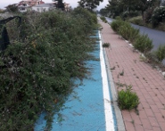 Piste ciclabili erbacce