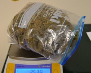 Polizia busta con marijuana