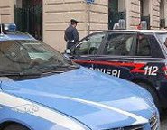 Polizia e cc auto2