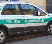 Polizia_provinciale_auto_archivio