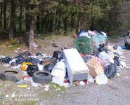 Rifiuti spazzatura bosco lam