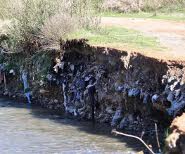 Rifiuti torrente Gaccia Pianopoli