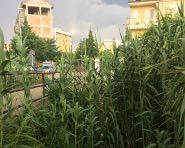 Savutano degrado Cantagalli