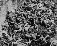 Shoah fossa