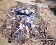 Spiaggia rifiuti3