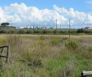 Terina scavi con erba