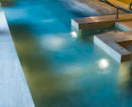 Terme_generiche