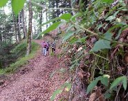 Trekking sentiero