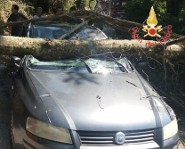 Vigili fuoco albero su auto