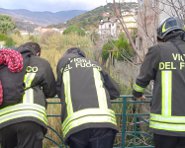 Vigili_fuoco_guardano_dal_ponte