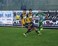 Vigor-JStabia Improta cross