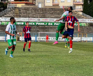 Vigor Lam 24 az attaco