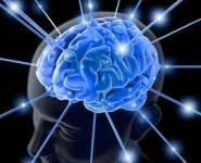 cervello potenzialità