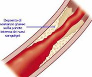 colesterolo1
