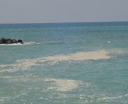 mare sporco costa lametina