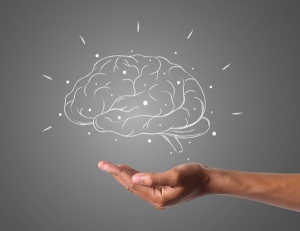 Cervello, trovato l'interruttore del senso di responsabilità. Scoperta italiana utile contro malattie come la schizofrenia