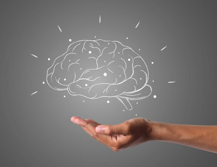 Cervello, trovato l'interruttore del senso di responsabilità. Scoperta italiana utile contro malattie come la schizofrenia