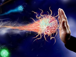 Quando l'ambiente logora il sistema immunitario