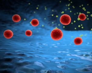 Batteri intestino controllano geni e prevengono tumori