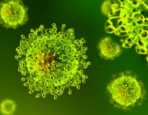 Coronavirus, ricerca italiana ricostruisce la mutazione che lo ha reso umano