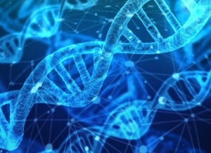 Un codice a barre genetico memorizza la storia delle cellule