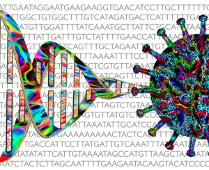 Covid, dalla genetica nuova luce sulla malattia