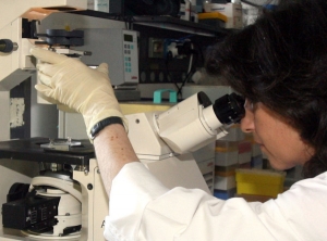 Tumori, Cnr: un fascio di luce scopre le cellule cancerose nel sangue