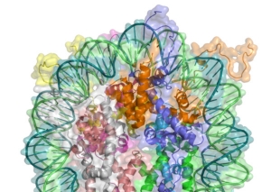 Ricerca, scoperto il lato oscuro del tumore all’intestino